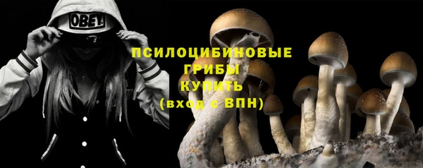 метадон Инсар