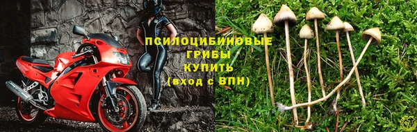 MESCALINE Инта