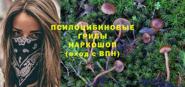 метадон Инсар