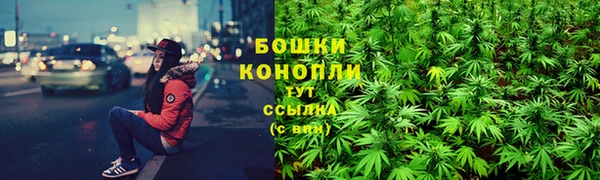 метадон Инсар