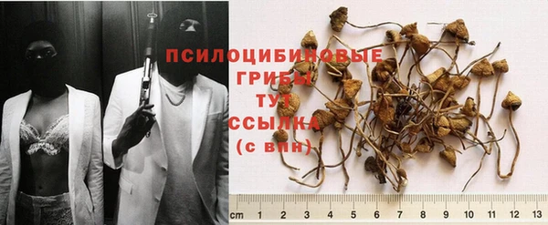 MESCALINE Инта