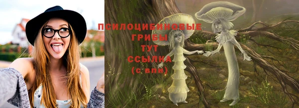 метадон Инсар